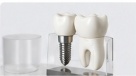Restorative Dentistry